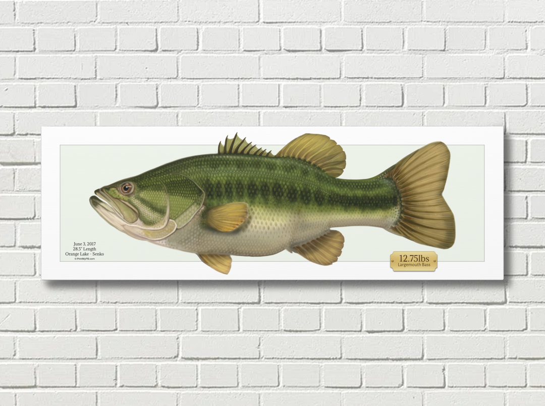 Custom Fish Art