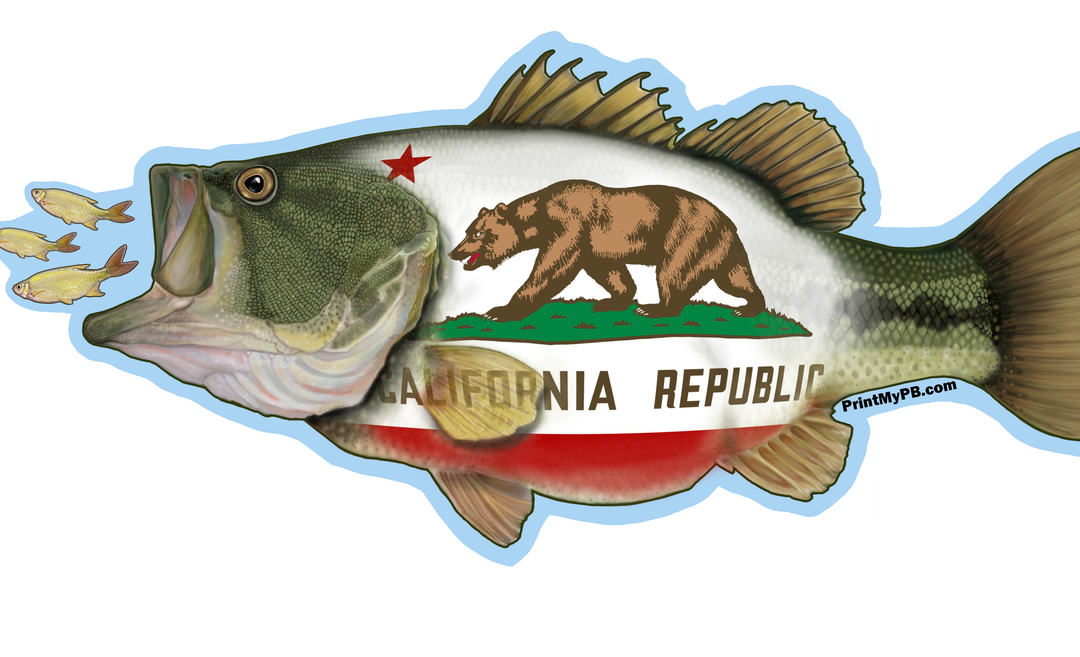 State Flag Fish