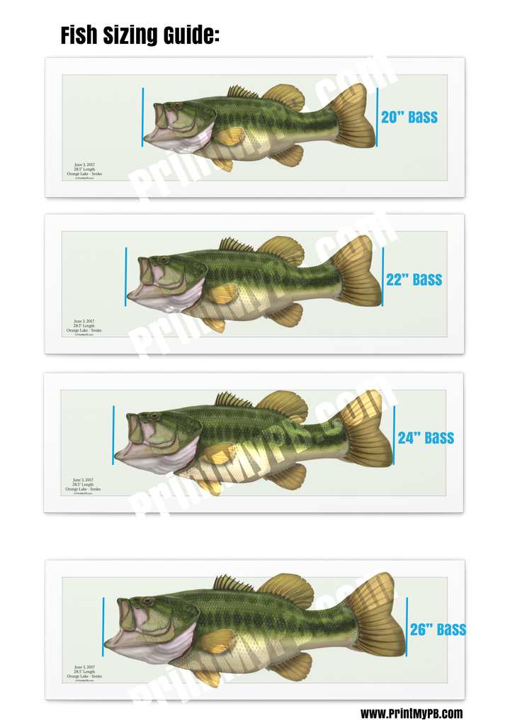 Custom Largemouth Bass Canvas - 03