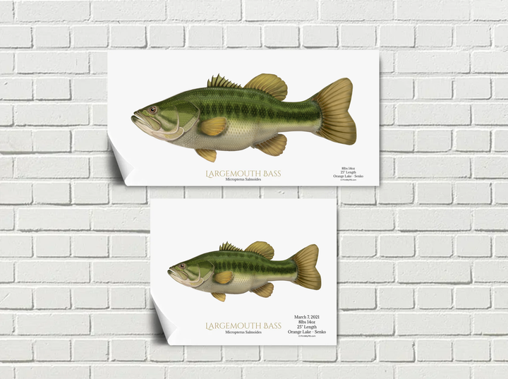 Custom Largemouth Bass Poster 20"x10" & 14"x11"