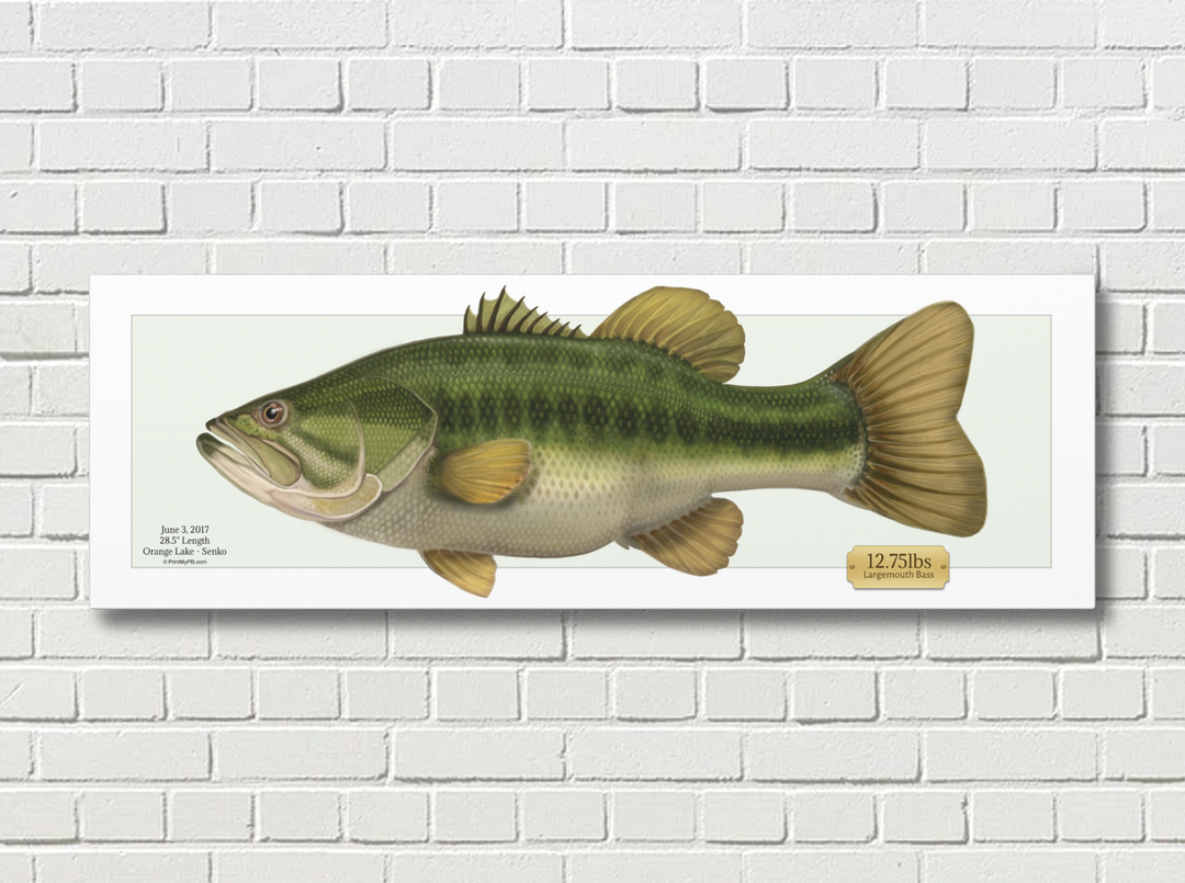 Custom Largemouth Bass Canvas - 01