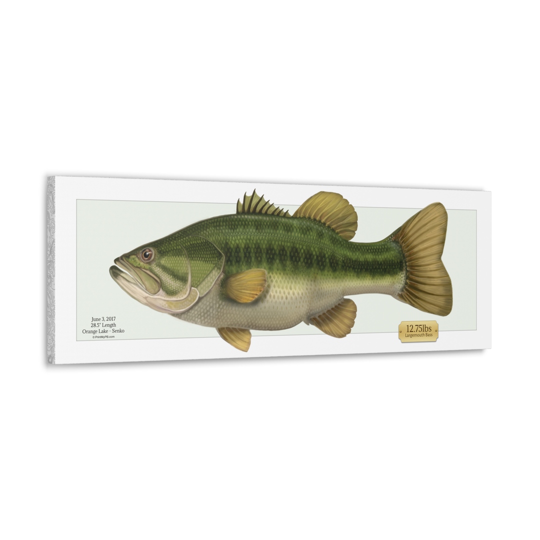 Custom Largemouth Bass Canvas - 01