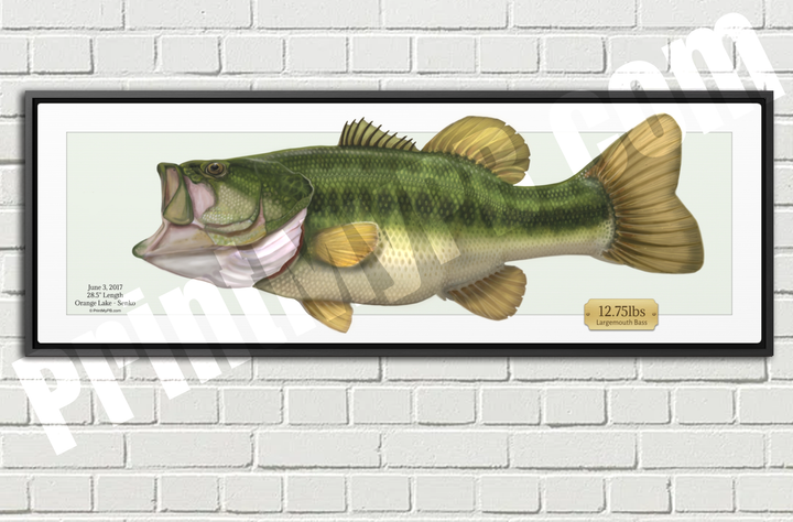 Custom Largemouth Bass Canvas - 03