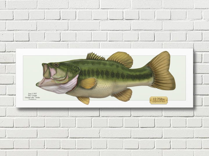 Custom Largemouth Bass Canvas - 03