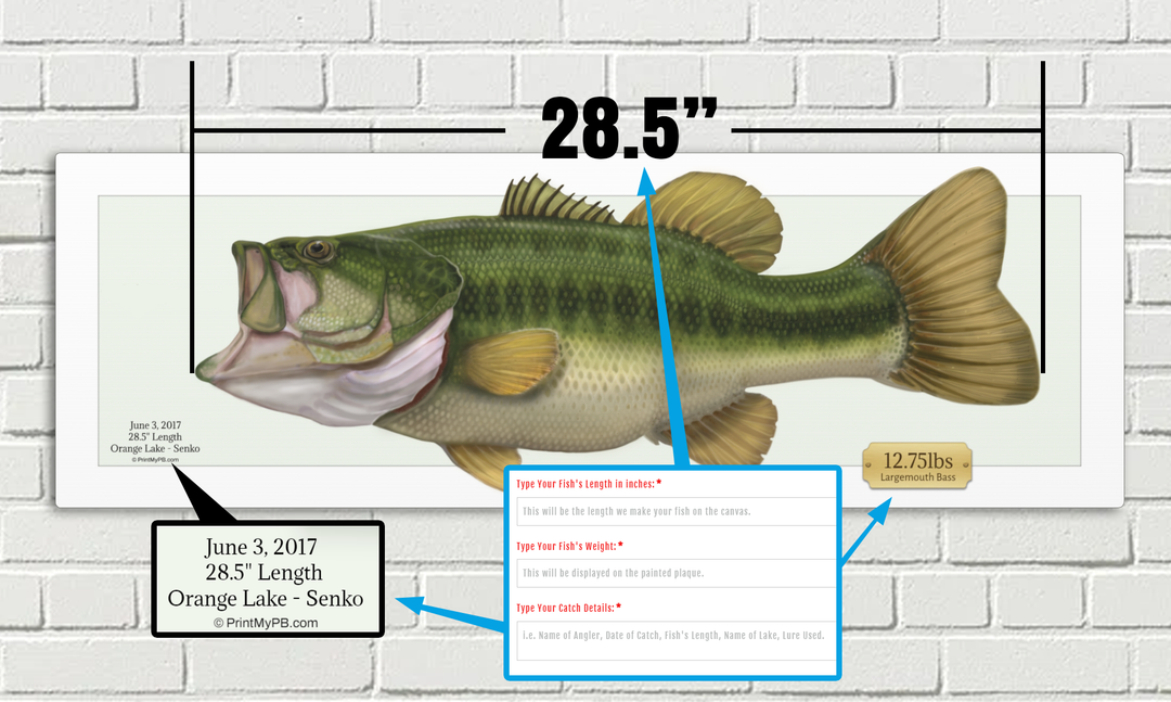 Custom Largemouth Bass Canvas - 03