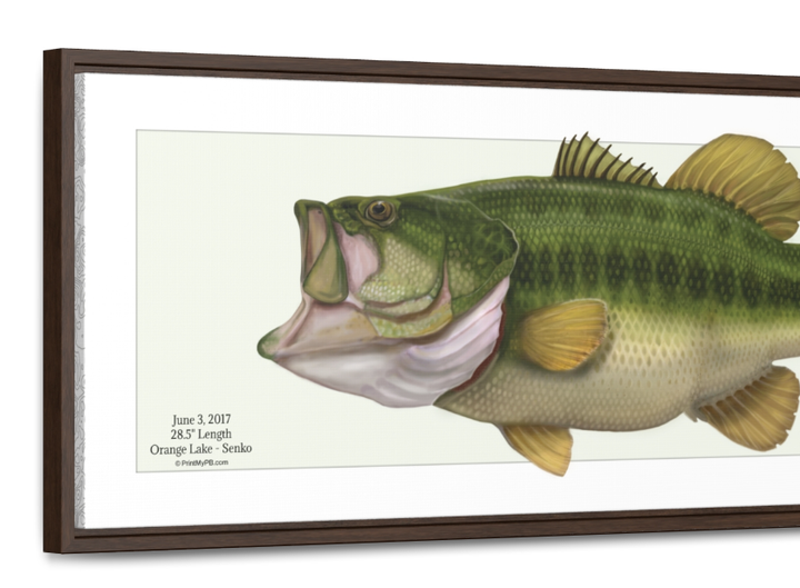 Custom Largemouth Bass Canvas - 03