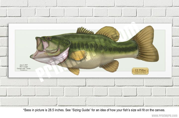 Custom Largemouth Bass Canvas - 03