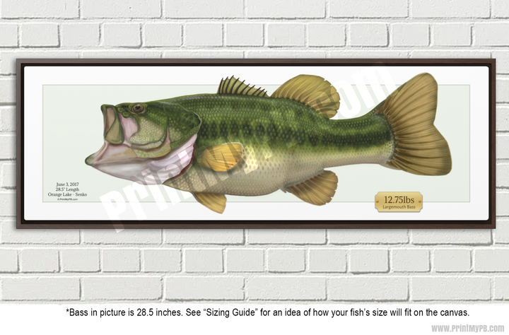 Custom Largemouth Bass Canvas - 03