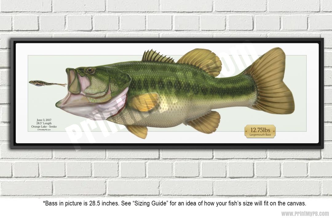 Custom Largemouth Bass Canvas - 03