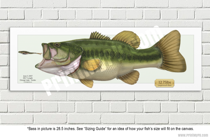 Custom Largemouth Bass Canvas - 03