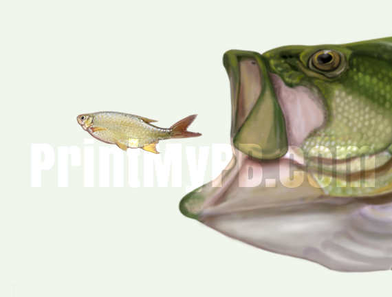 Custom Largemouth Bass Canvas - 03