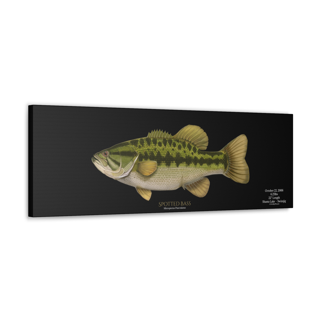 Custom Spotted Bass Canvas